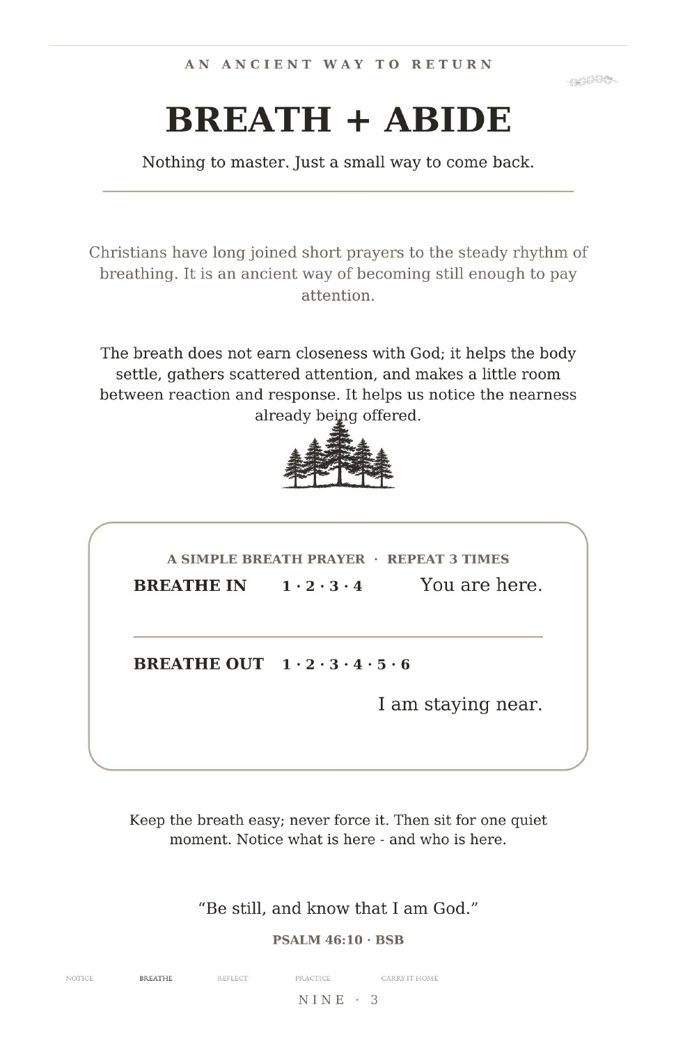 ABIDE Breath and Abide page