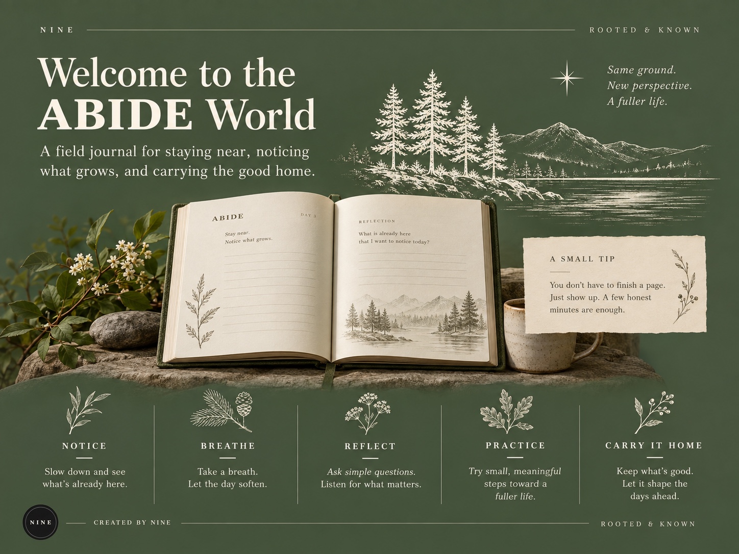 Welcome to the ABIDE World: a green field journal, five trees, a star and the book’s notice, breathe, reflect, practice, carry it home rhythm
