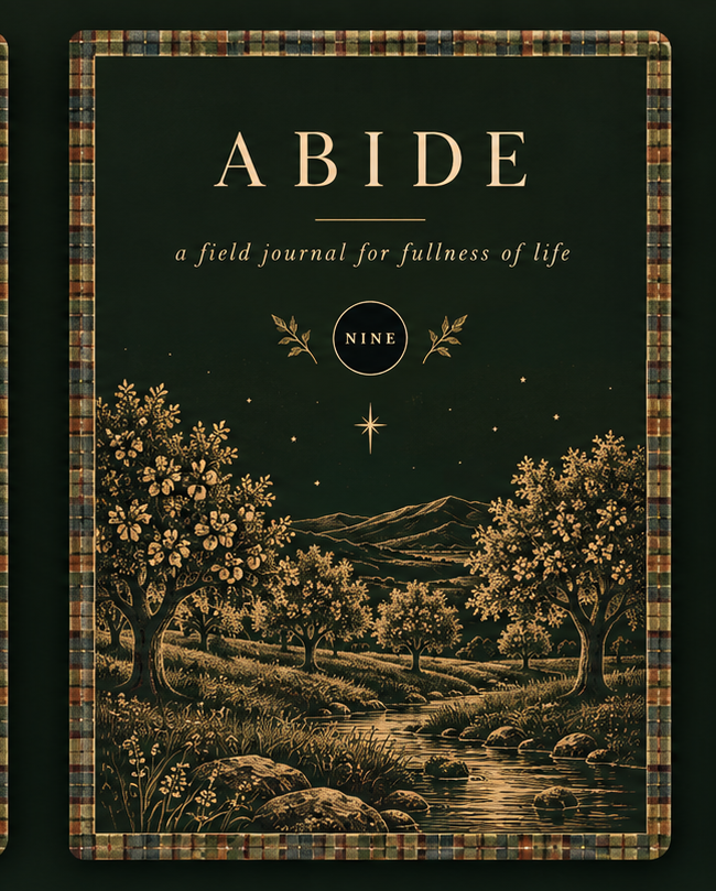 ABIDE special-edition clothbound cover in moss green with watercolor trees, creek and a quiet star